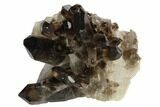 Dark Smoky Quartz Crystal Cluster - Brazil #120756-1
